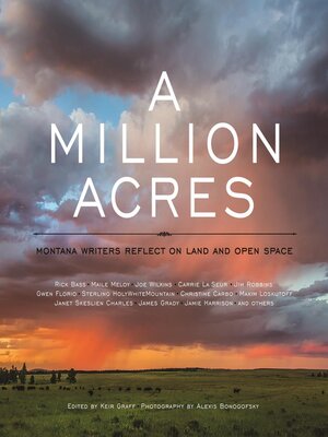 cover image of A Million Acres